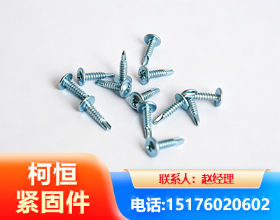 儋州华司钻尾丝