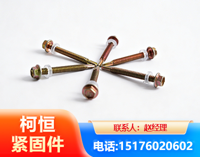儋州六角钻尾丝